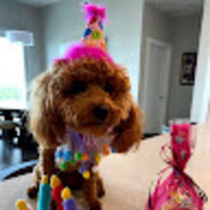 Meet your Posher, Jonathan